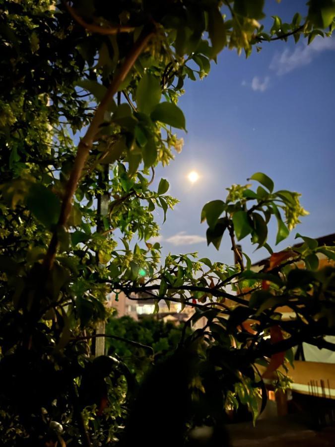 Apartmani Goran I Jelena Zec Μπούντβα Εξωτερικό φωτογραφία